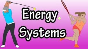 How Does Energy System Work