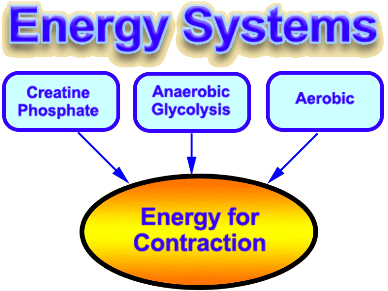How Does Energy System Work